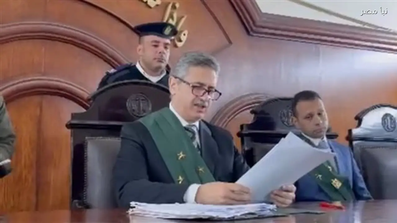 الإعدام والمؤبد للمتهمين بقتل سائق توك توك نتيجة خلافات عائلية في البحيرة