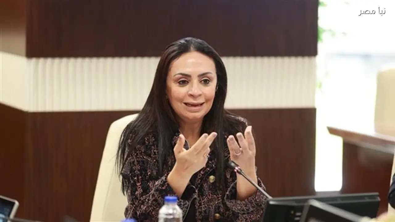 التضامن تحقق إنجازا جديدا بإعادة 17 طفلا إلى أسرهم بعد الاختبار القضائي