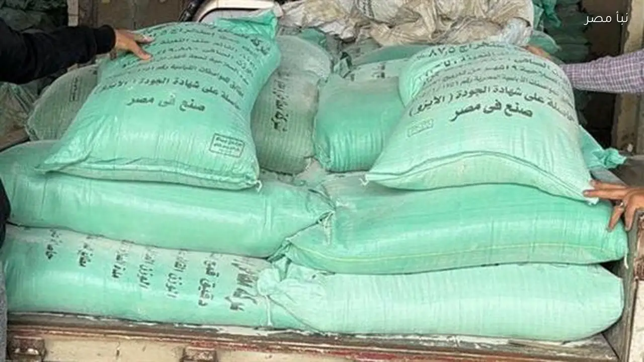 التموين بالبحيرة تضبط كميات كبيرة من الدقيق المدعم وتكشف عن مخالفات واسعة في الأسواق والمحلات