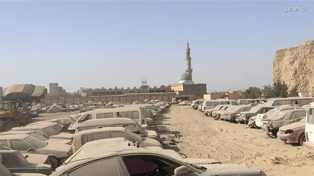 التنمية المحلية تبدأ في إخلاء مقبرة سيارات البساتين وتنظيمها استعدادا للمزادات وتعزيز أصول الدولة