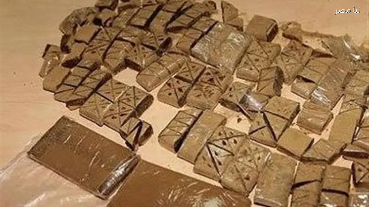 الحبس ثلاث سنوات لشخص بتهمة الاتجار بالمخدرات في جنوب سيناء