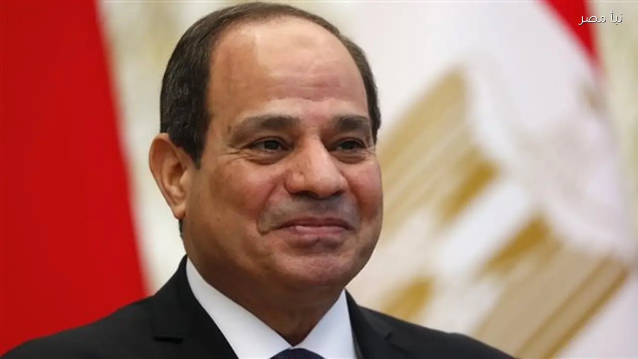 الرئيس السيسي يؤكد على أهمية المتابعة اليومية لتوافر السلع في الأسواق والتزام الأسعار المعلنة قبل رمضان