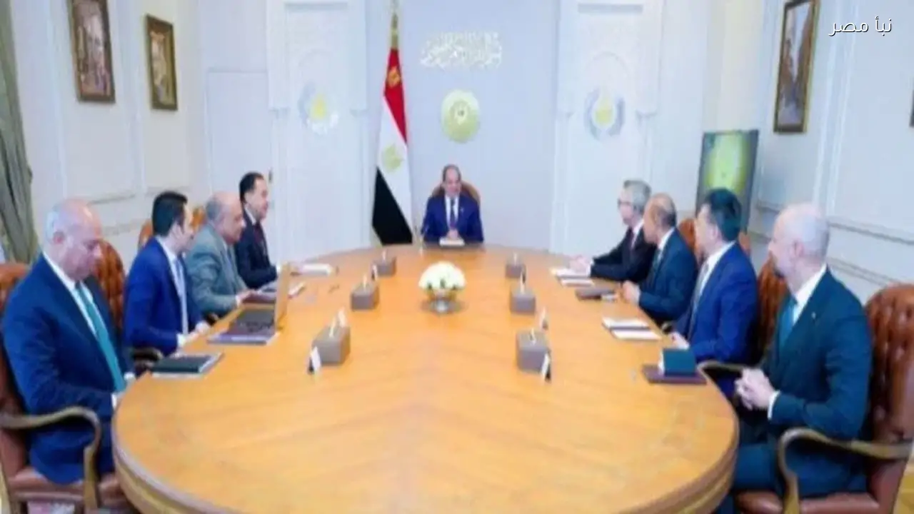 الرئيس السيسي يبحث تعزيز استثمارات الطاقة المتجددة مع شركتي سكاتك وإنفجين إنرجي