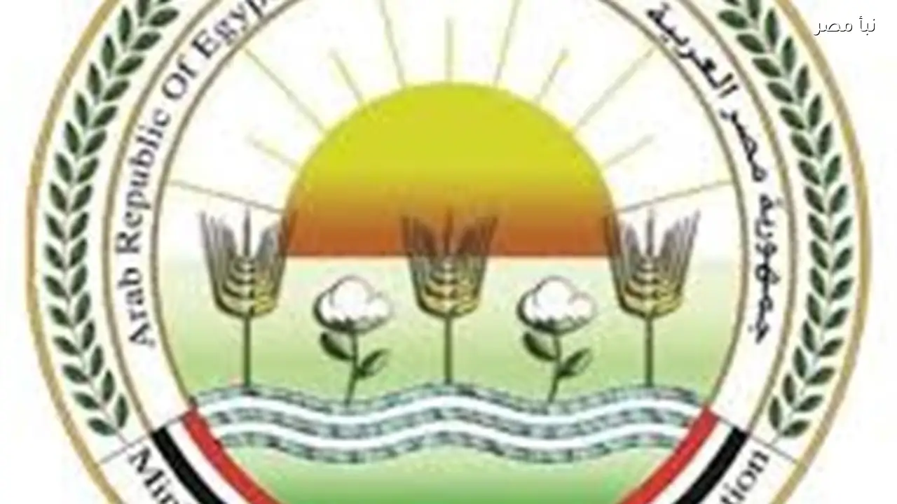 الزراعة تمنح 468 ترخيصا لتشغيل أنشطة ومشروعات الإنتاج الحيواني والداجني في فبراير