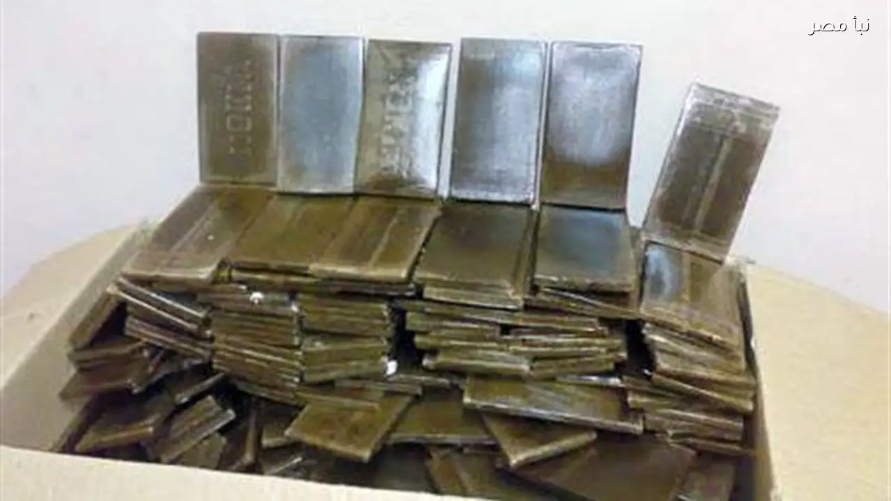 السجن 10 سنوات وغرامة 100 ألف جنيه لتاجر مخدرات في جنوب سيناء