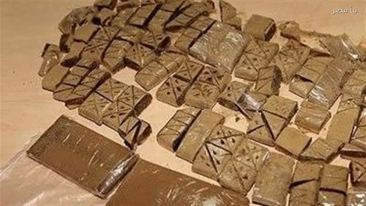 السجن عشر سنوات وغرامة مئة ألف جنيه لتاجري مخدرات ضبط بحوزتهما ستة وعشرين كيلو جراما من الحشيش في رأس سدر
