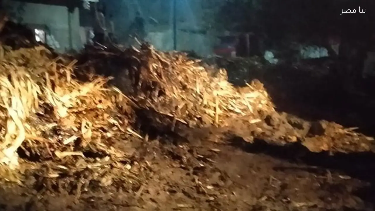 السيطرة على حريق ضخم في بوص الذرة بسوهاج دون تسجيل أي خسائر بشرية