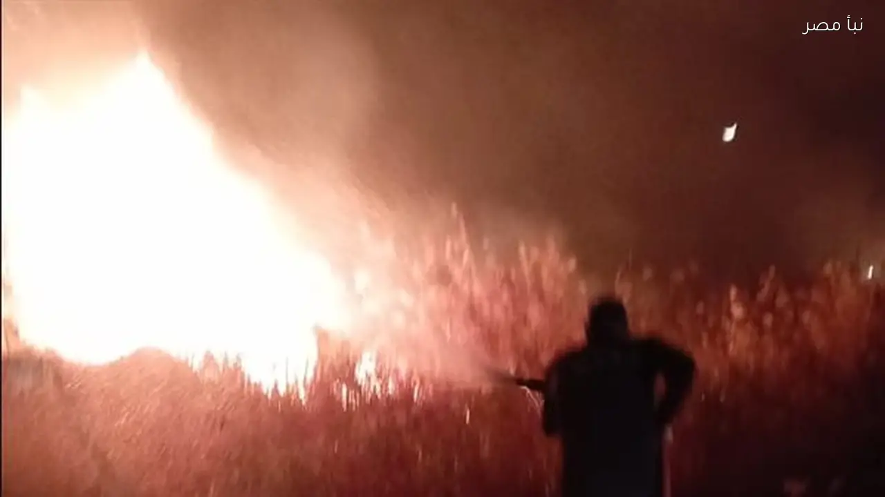 السيطرة على حريق في مزرعة بسوهاج دون تسجيل إصابات