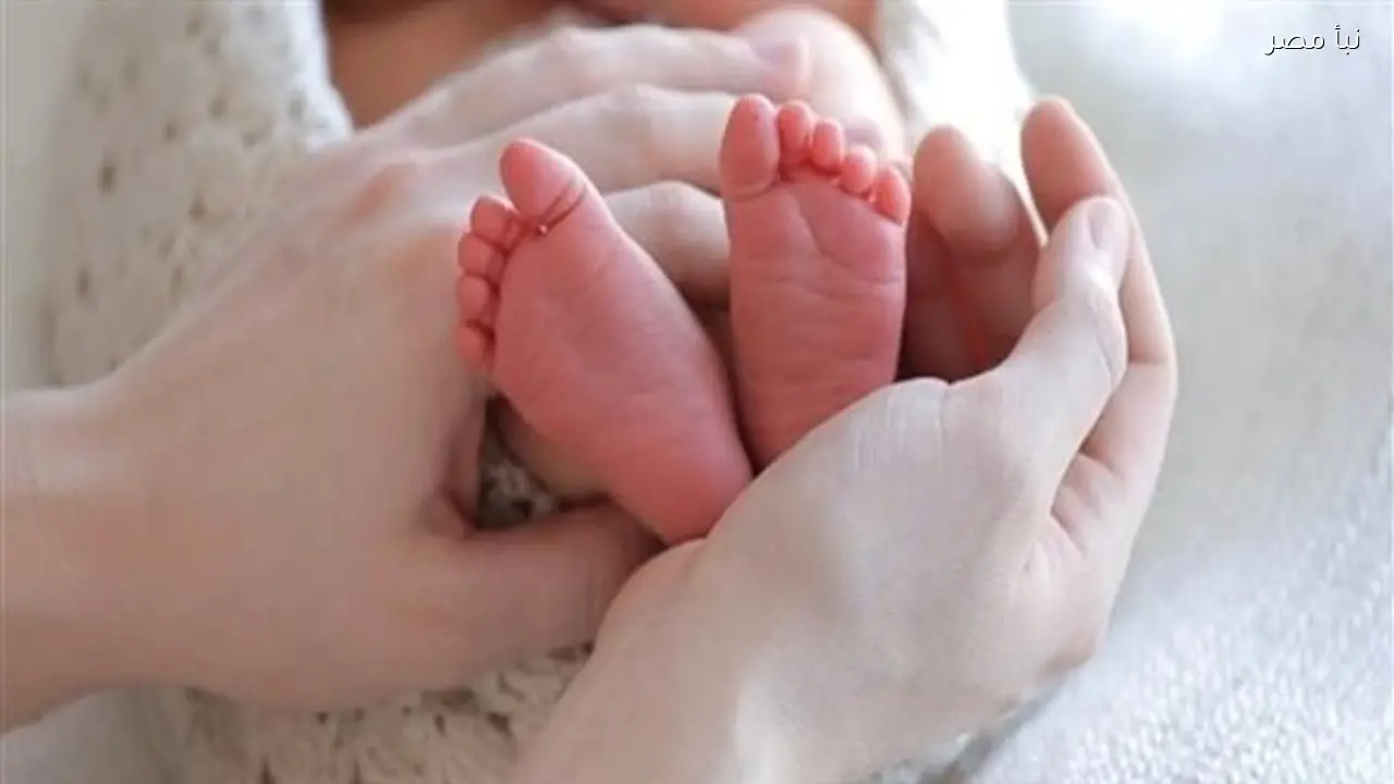 العثور على رضيع أمام مدرسة إعدادية بمركز العدوة في المنيا