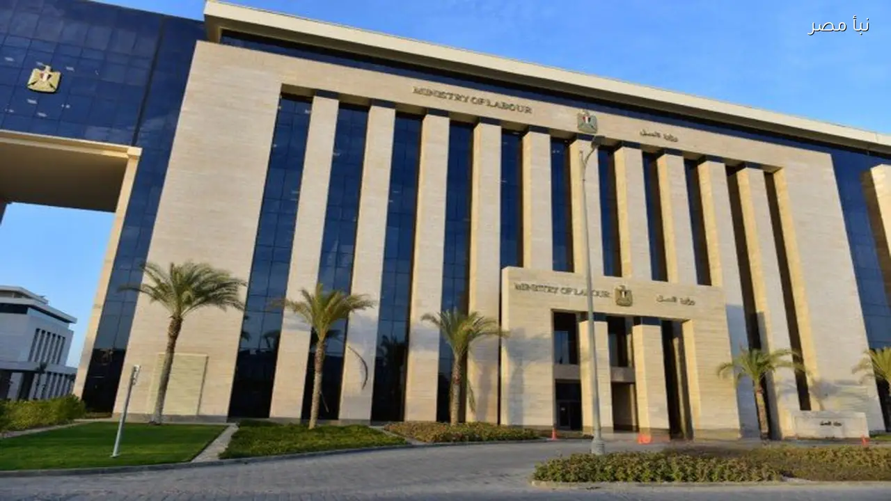 العمل تطلق تطبيقا إلكترونيا لحجز مواعيد توثيق العقود ومقابلات العمل