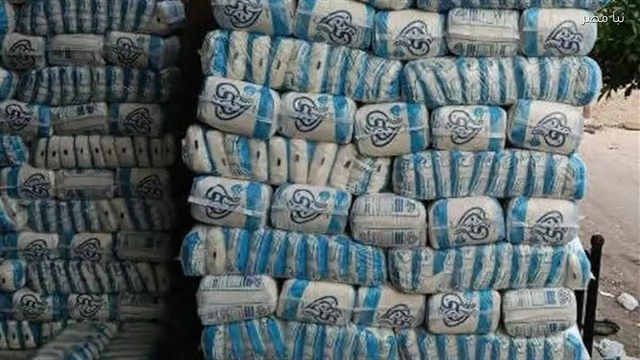 القابضة الغذائية تعلن توريد مليون و807 آلاف طن من قصب السكر لمصانع السكر والصناعات التكاملية