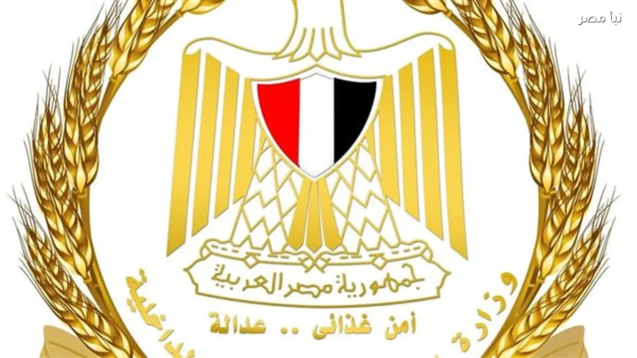 القابضة للصناعات الغذائية تتابع حركة تداول السلع يوميا لضمان سرعة إعادة الضخ واستقرار الأسعار