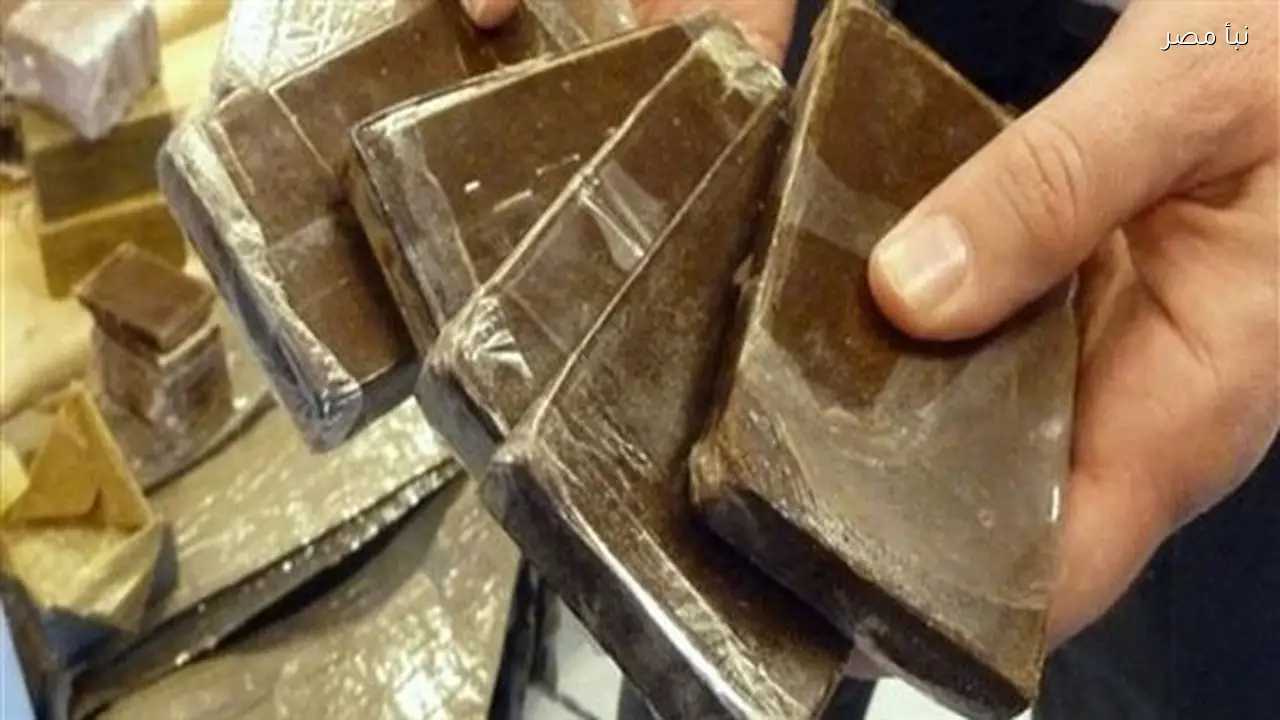 القبض على تاجر مخدرات بحوزته أربعون فرش حشيش وبندقية خرطوش في حملة أمنية بقنا