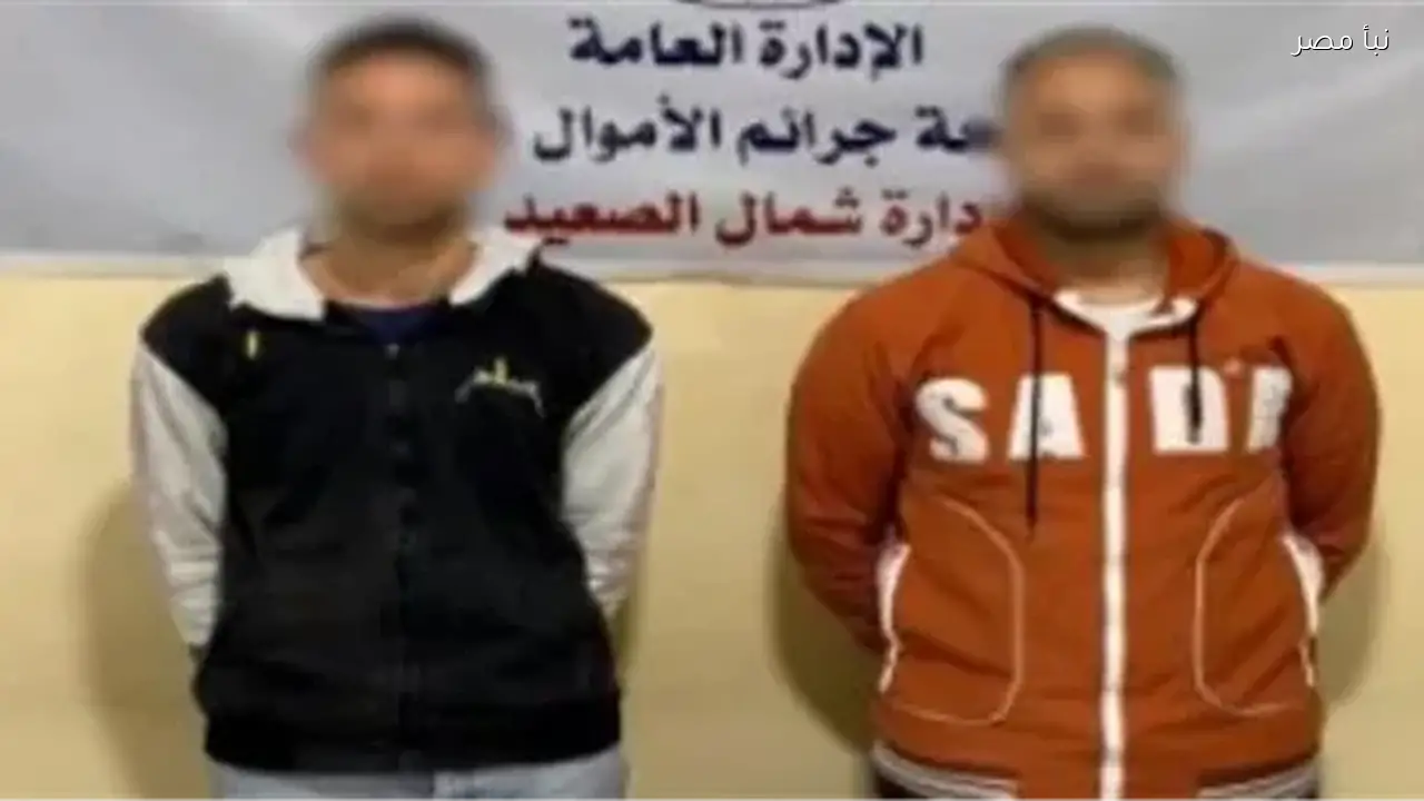 القبض على عصابة تحديث البيانات في المنيا بعد استغلال المواطنين والنصب عليهم