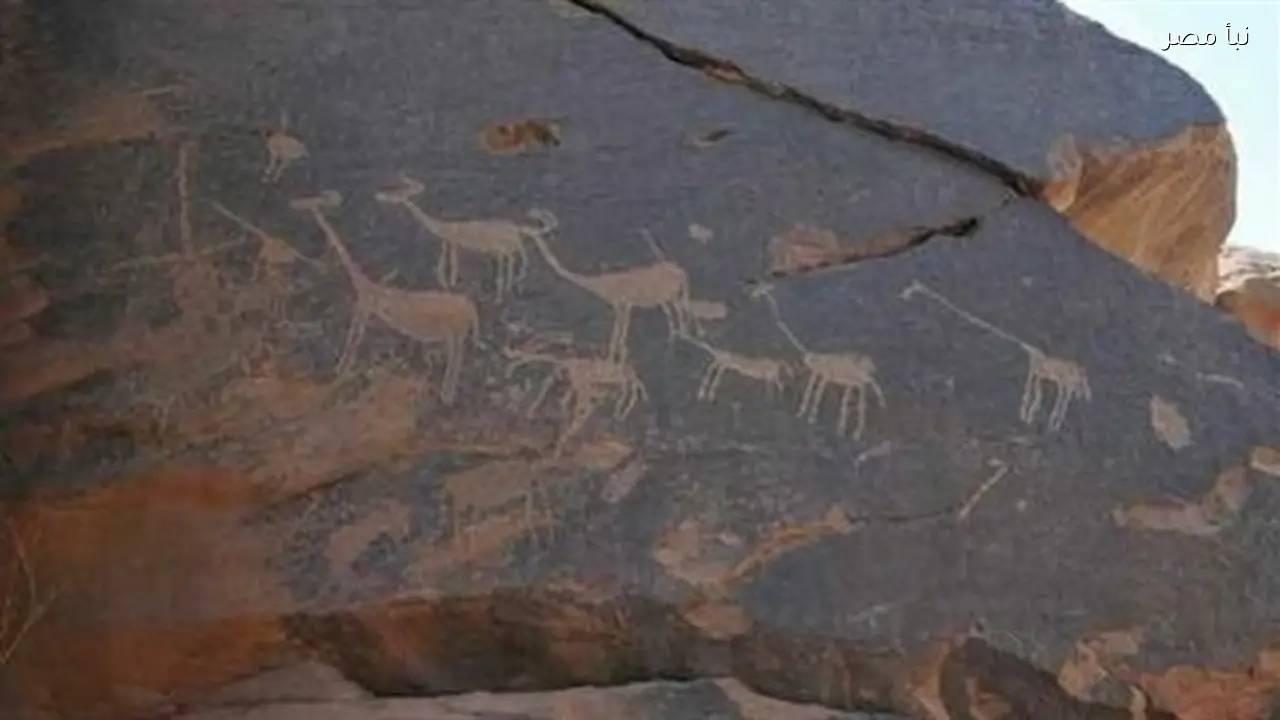 النقوش الصخرية في مصر القديمة تكشف أسرار حياة الأجداد حسب خبير أثري