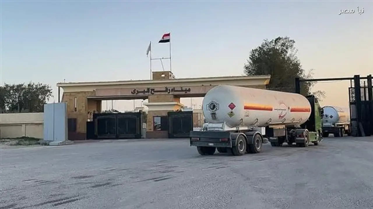 الهلال الأحمر المصري يرسل مساعدات غذائية وشتوية إلى قطاع غزة لتعزيز الدعم الإنساني