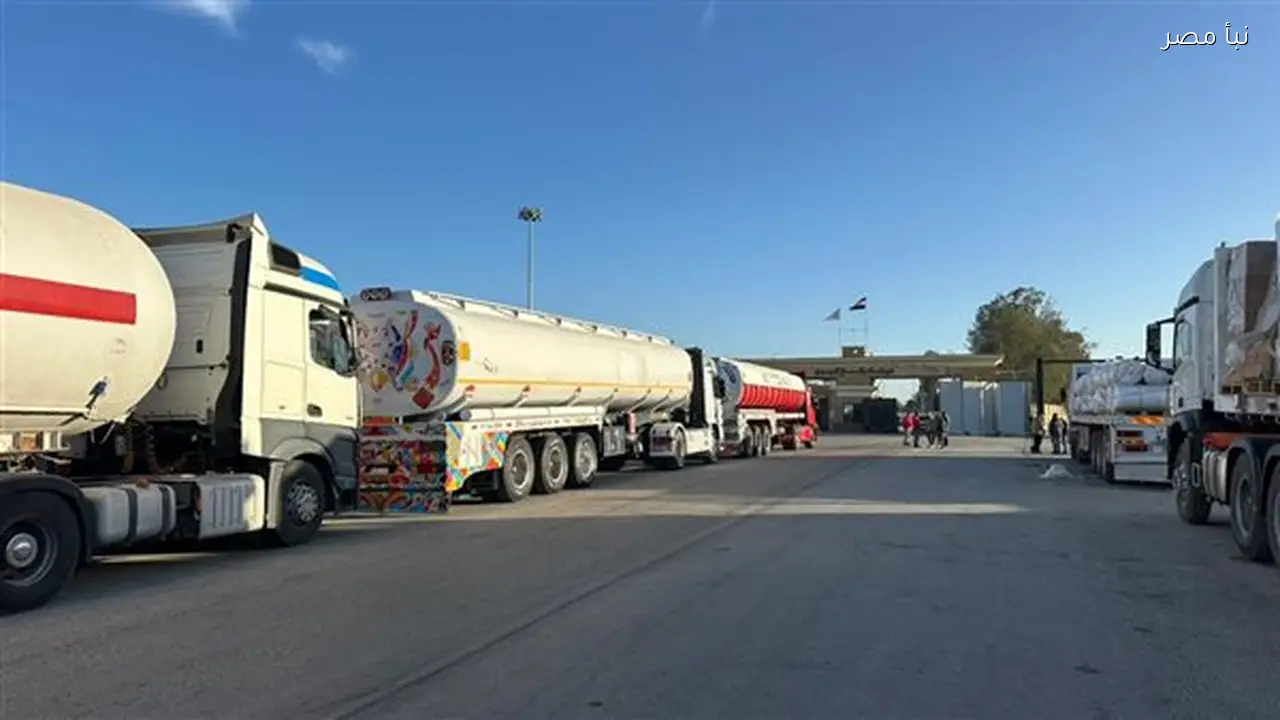 الهلال الأحمر المصري يواصل جهوده على الحدود لدعم الأشقاء الفلسطينيين واستقبال المرضى والمصابين