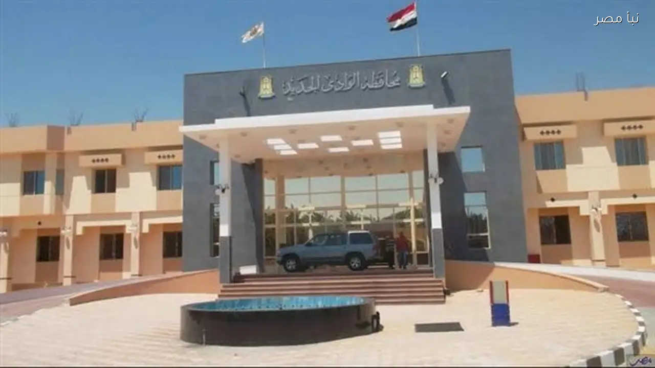 الوادي الجديد تطرح مسابقة لتوظيف كوادر متخصصة في تكنولوجيا المعلومات والخدمات الذكية