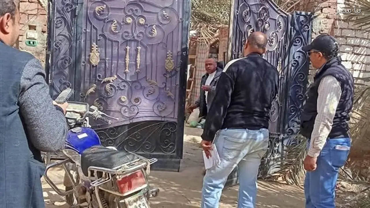 الوادي الجديد تطلق حملات شاملة لإزالة الحظائر والعشش من الكتل السكنية