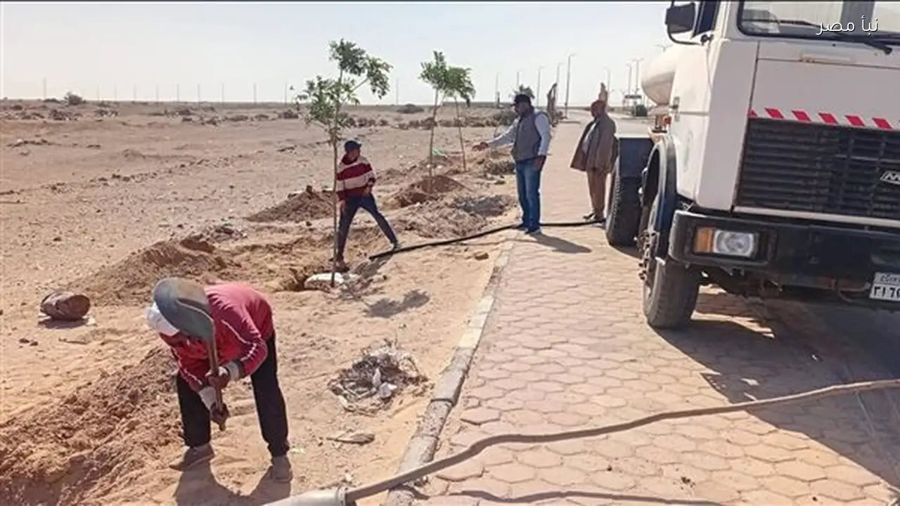 انطلاق أعمال زراعة الأشجار في مدينة رأس غارب ضمن المبادرة الرئاسية مليون شجرة