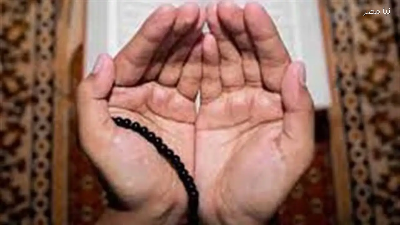 بث مباشر لشعائر صلاة الجمعة من مسجد النصر بالمنصورة