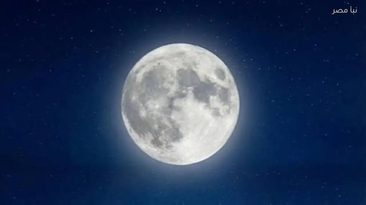 بدر شعبان يضيء سماء الوطن العربي في أمسية مميزة