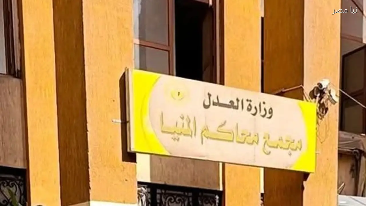 تأييد حبس متهم لمدة عامين مع الشغل في قضية شهادة زور بمحافظة المنيا