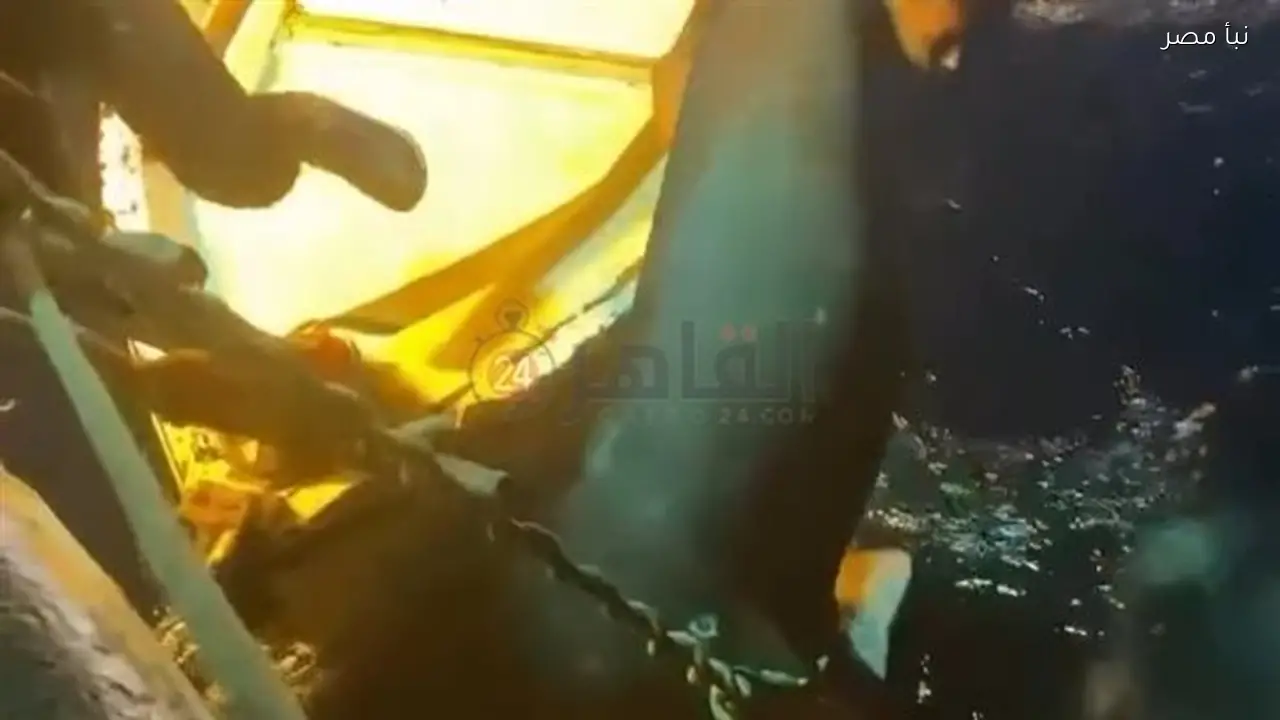 تجديد حبس المتهمين في قضية صيد القرش الحوتي بهلول بمياه البحر الأحمر