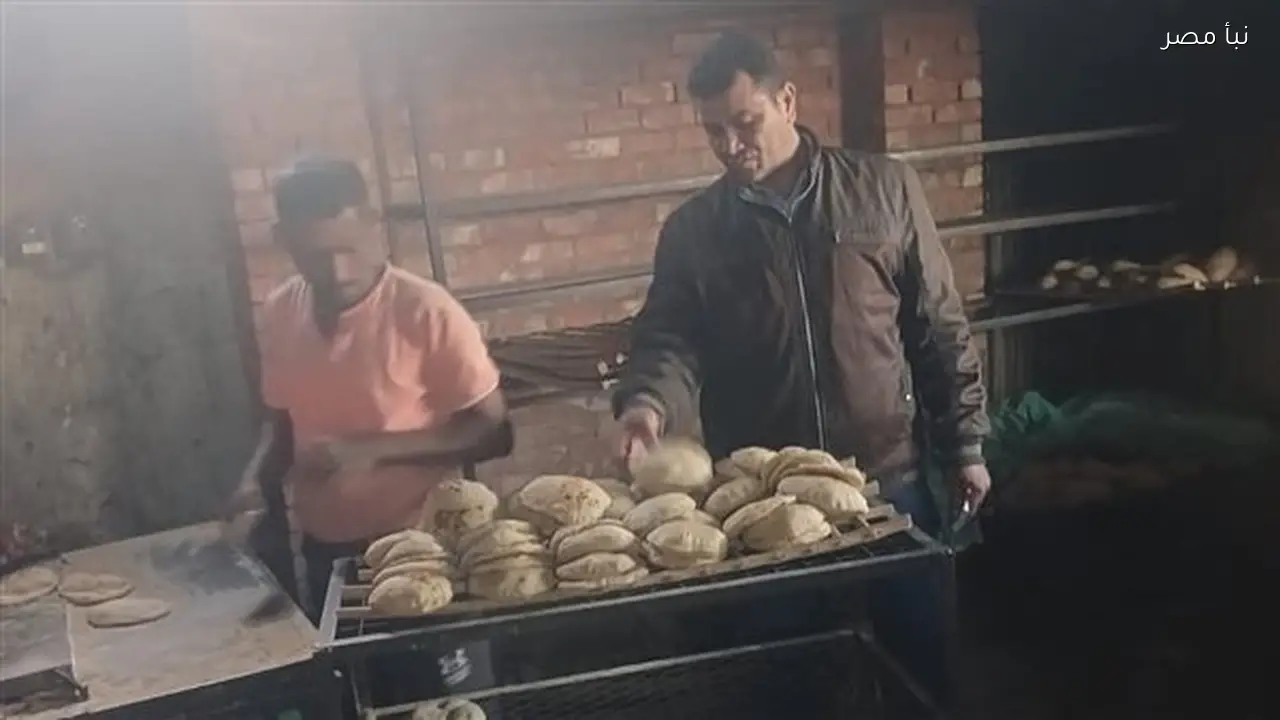 تحرير 169 محضرا خلال حملة تفتيش تموينية على الأسواق في الوادي الجديد