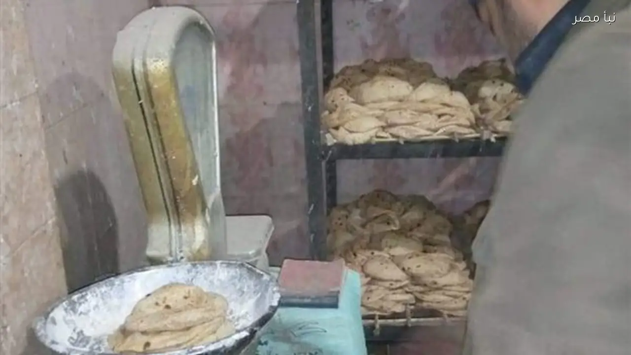 تحرير 54 محضرًا ضد مخابز تتلاعب بالأوزان والأسعار في 24 ساعة