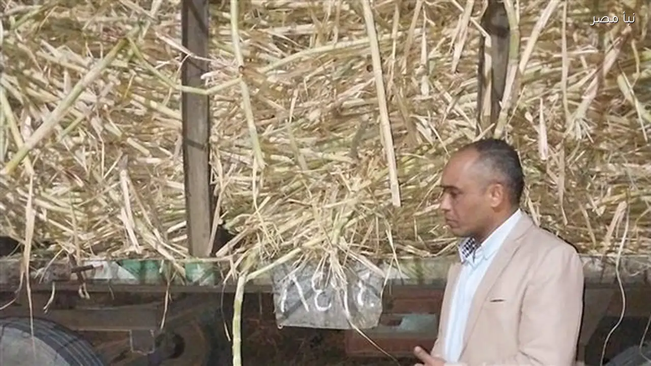 تحرير مخالفات لمقطورات قصب متوقفة على الطريق الزراعي في نقادة لضمان سلامة المواطنين