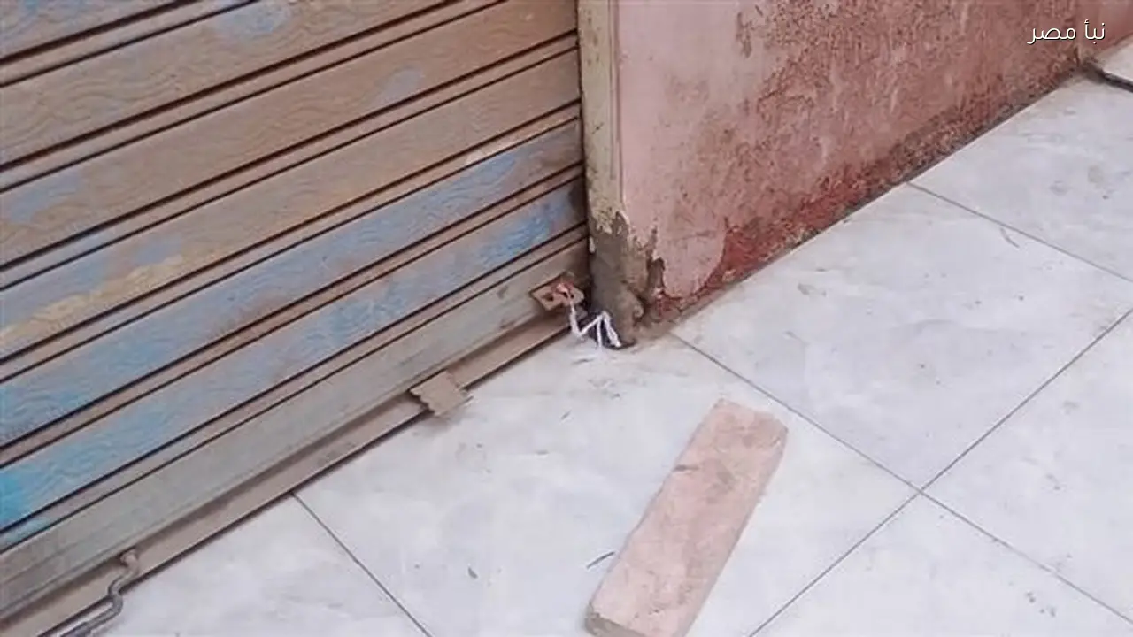 ترخيص المحلات لعام 2026 فرصة للحصول على رخصة محلك بنصف الرسوم قبل 14 يونيو