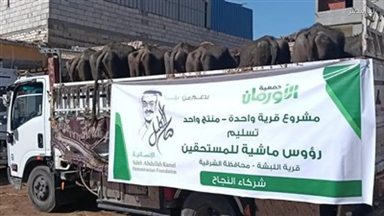 تسليم خمسين رأس ماشية للأسر الأولى بالرعاية في الشرقية