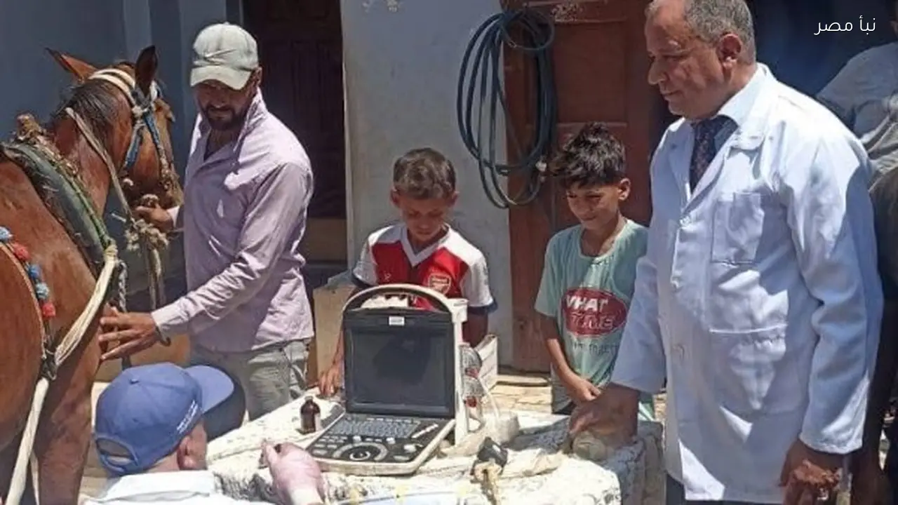 تشخيص وعلاج 3845 رأس ماشية في إطار خطة تنمية الثروة الحيوانية بكفر الشيخ