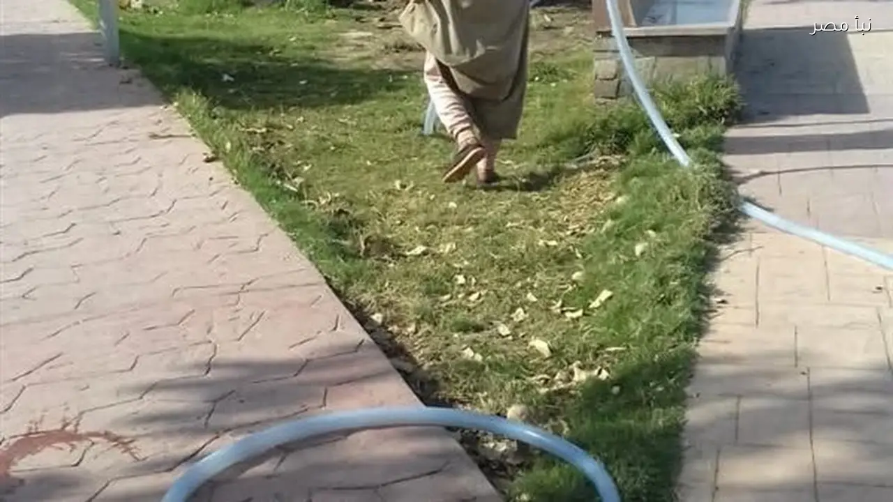 تطوير المتنزه الحضاري بكورنيش النيل بالمنيا يواصل جهوده على مدار اليوم