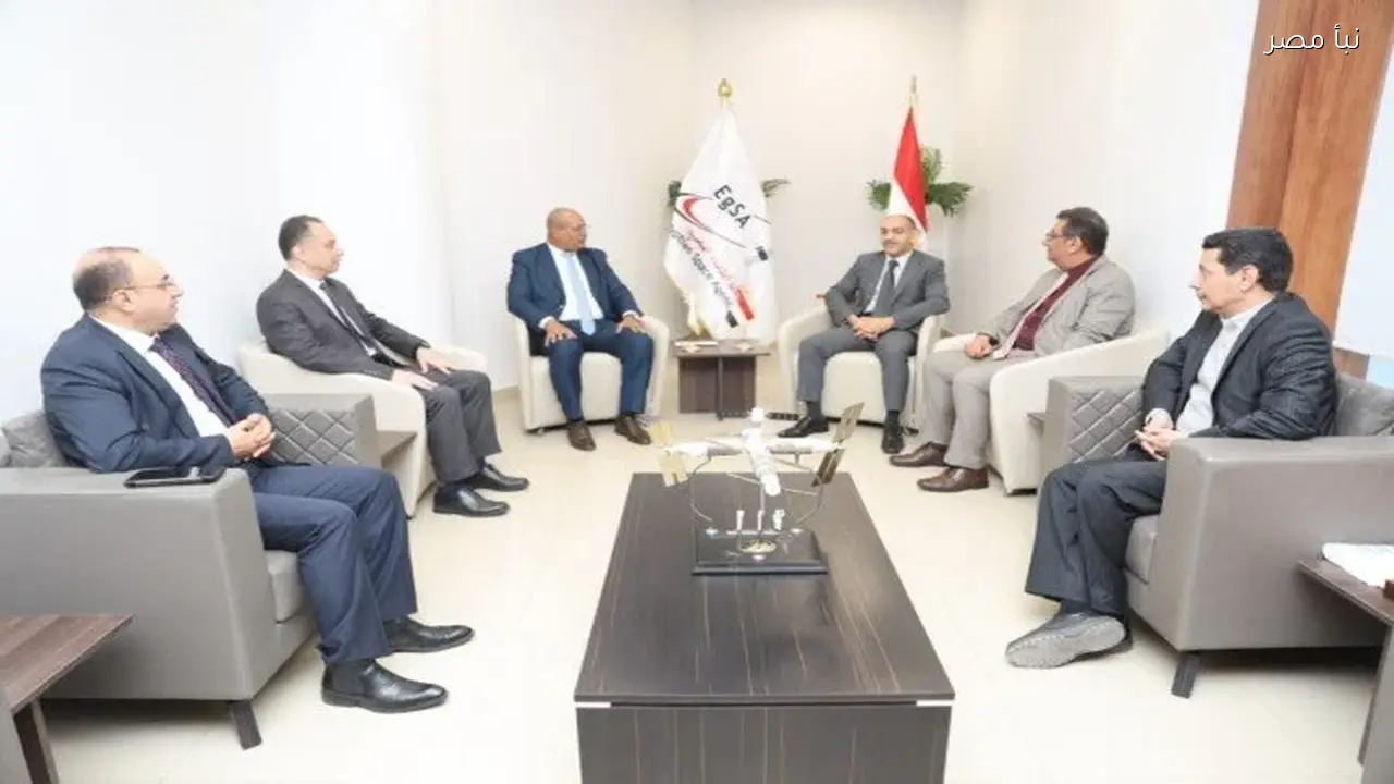 تعاون بين وكالة الفضاء المصرية وهيئة الاستشعار من البعد لتعزيز التنمية والشراكة الإفريقية