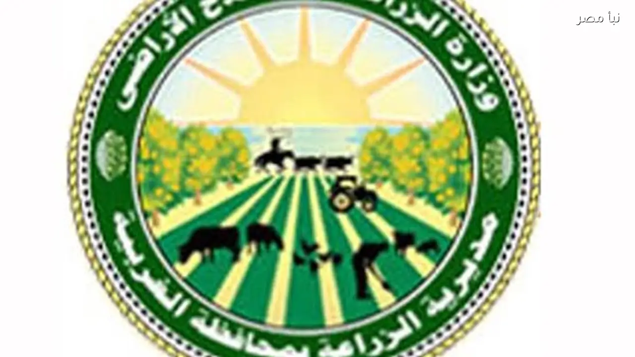 تعيين وكيل جديد للزراعة في الغربية عقب واقعة التعدي داخل المديرية