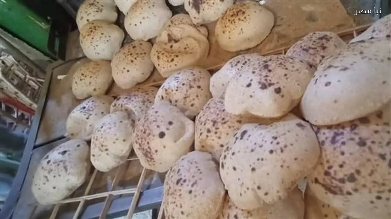 تموين أسيوط يحرر خمسمائة محضر للمخابز البلدية والأسواق