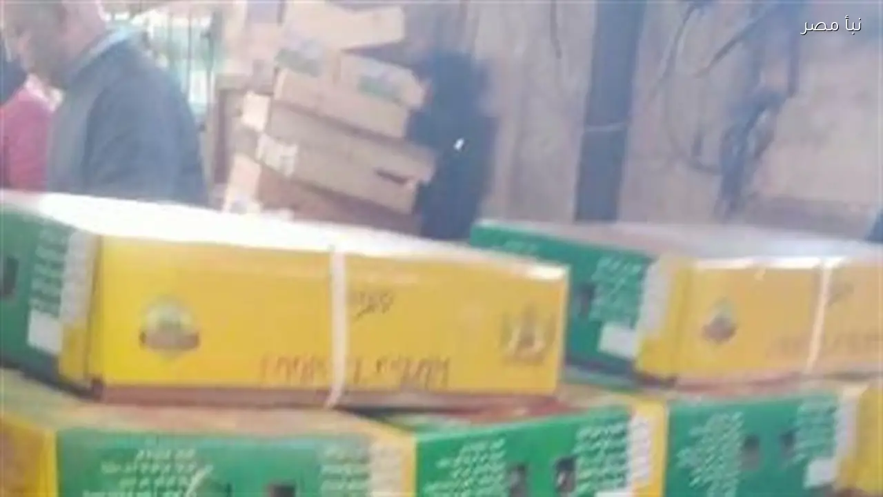 تموين الغربية تضبط 500 كيلو رنجة فاسدة قبل توزيعها على الأسواق