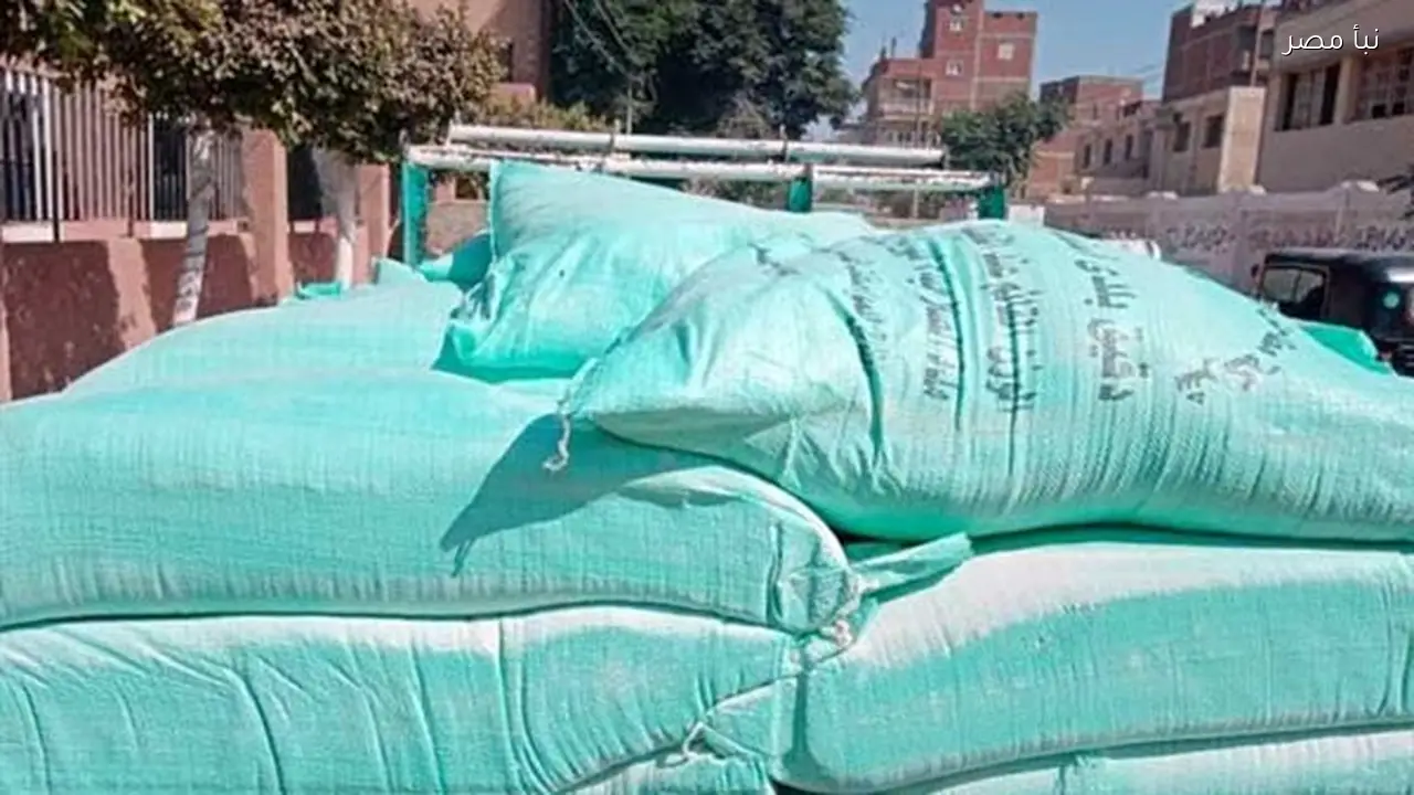 تموين الغربية تضبط أربع مخابز تبيع الدقيق في السوق السوداء