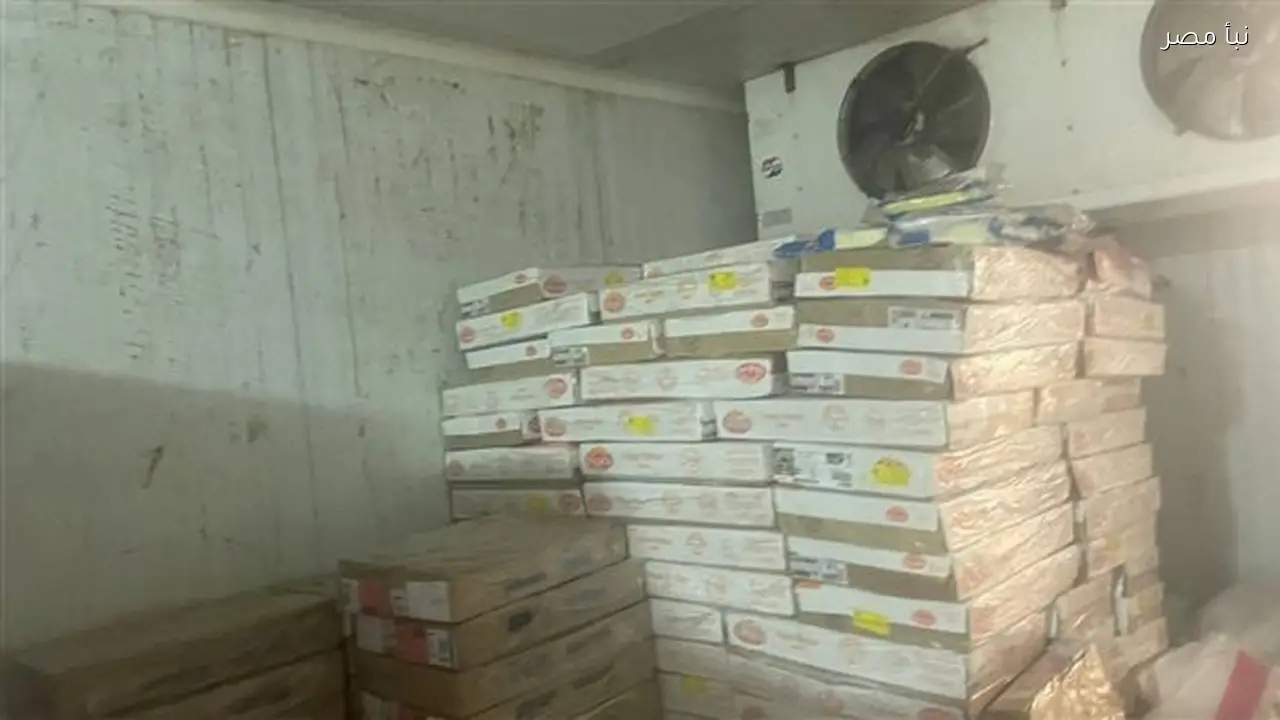 تموين القليوبية تضبط خمسين مخالفة خلال حملات تفتيشية على المخابز والأسواق