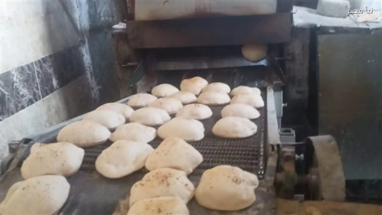 تموين القليوبية ينجح في ضبط نصف طن من الدقيق المدعم قبل بيعه في السوق السوداء ويحرر 292 مخالفة للمخابز