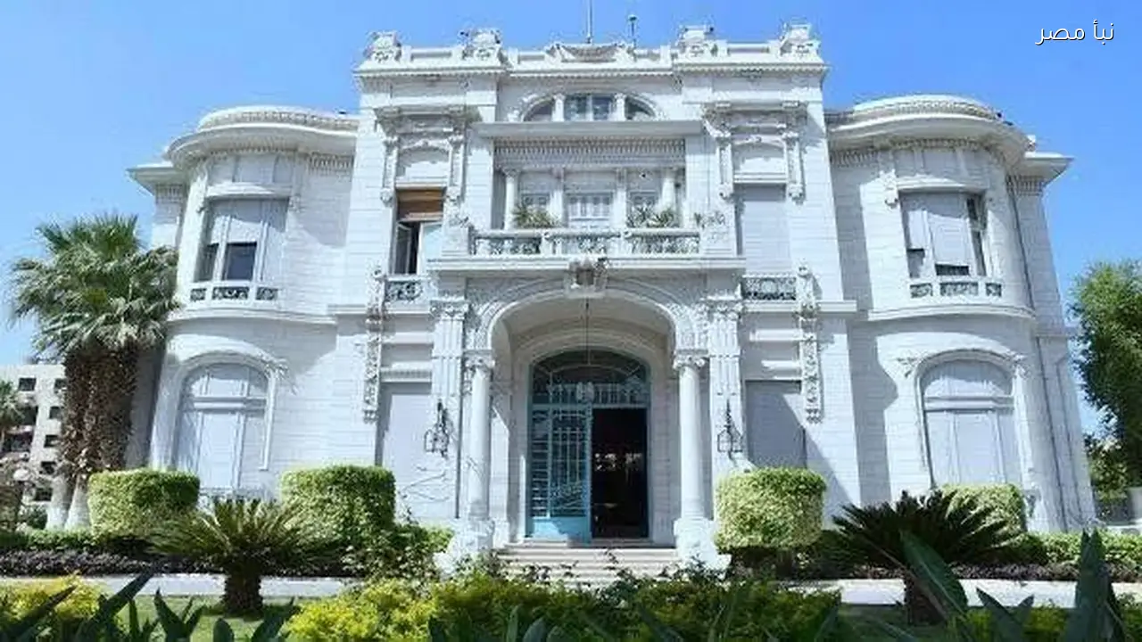 جامعة عين شمس تستعد لاستقبال الطلاب بخطة متكاملة تشمل قاعات ومكتبات ومعامل مجهزة