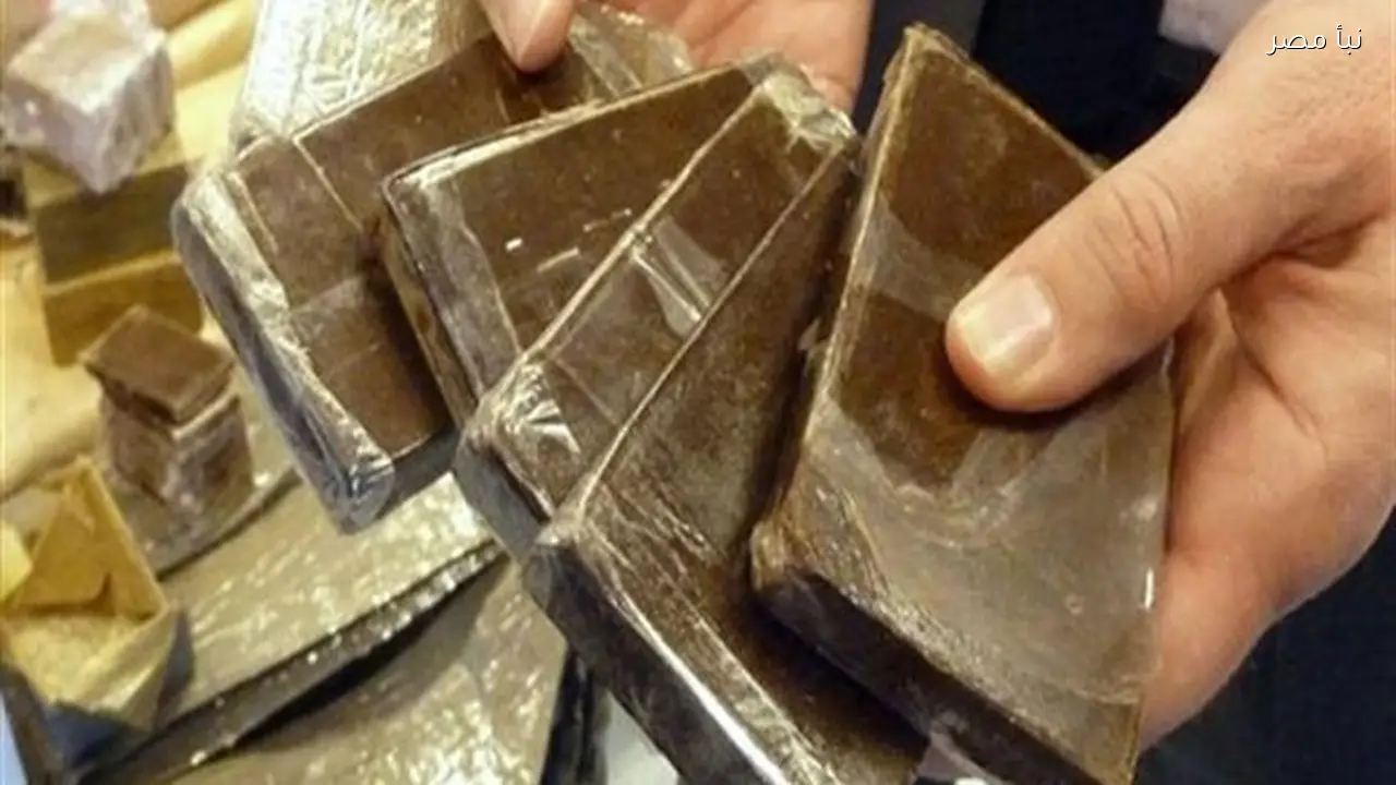 جنايات جنوب سيناء تصدر حكمًا بالسجن خمس سنوات على متهمين بتجارة المخدرات في رأس سدر