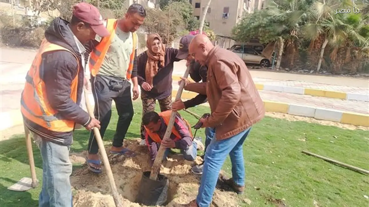 جهاز التطوير والتجميل يستكمل مبادرة “اغرس شجرة” في محافظة الإسماعيلية
