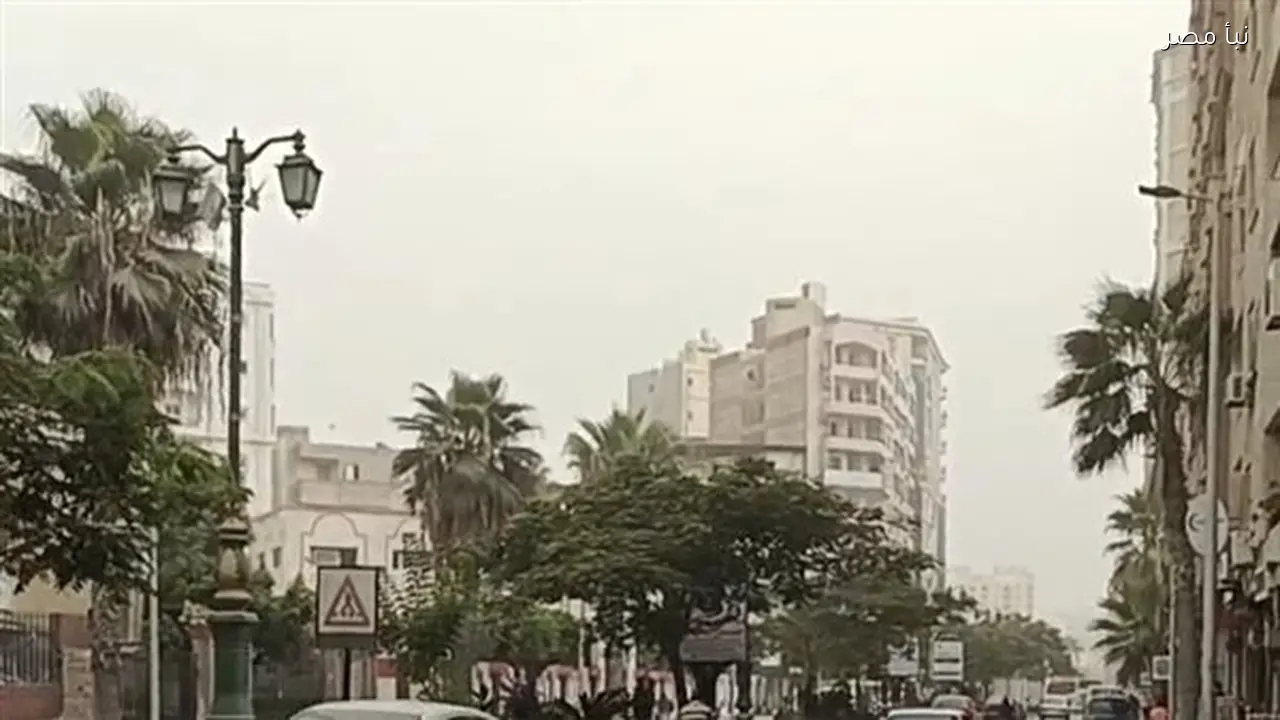 حالة الطقس اليوم ارتفاع مستمر في درجات الحرارة وتحذيرات من الرياح والأتربة العالقة