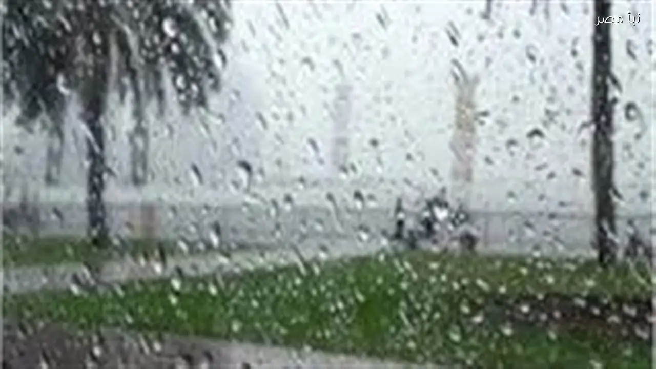 حالة الطقس اليوم الثالث من فبراير 2026 والأرصاد تعلن عن أماكن سقوط الأمطار في مصر