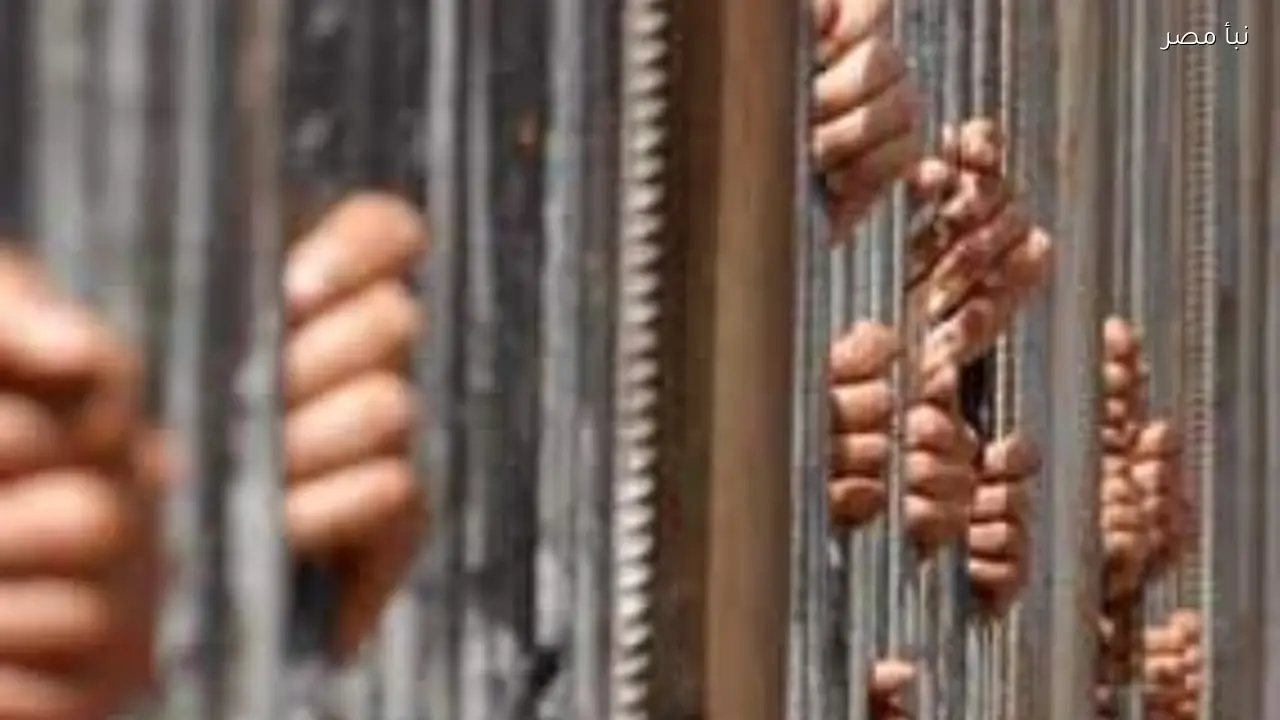 حبس المتهمين بالتعدي على عامل وسرقة هاتفه في البساتين