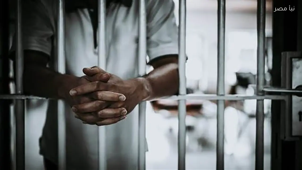 حبس ثلاثة أشخاص بتهمة قتل طالب أثناء توجهه لشراء دواء في الإسكندرية 15 يومًا على ذمة التحقيقات