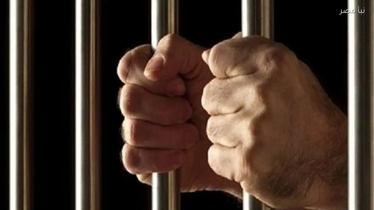 حبس سنة مع وقف التنفيذ لمتهم بتزوير شهادة جامعية في محافظة المنيا